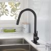 Pull Down Sprayer Kitchen Faucet